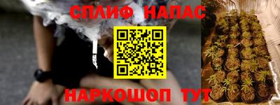 дмт Гатчина
