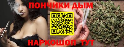 дмт Гатчина