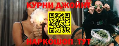 дмт Гатчина