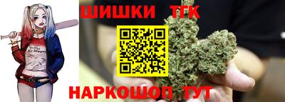 дмт Гатчина