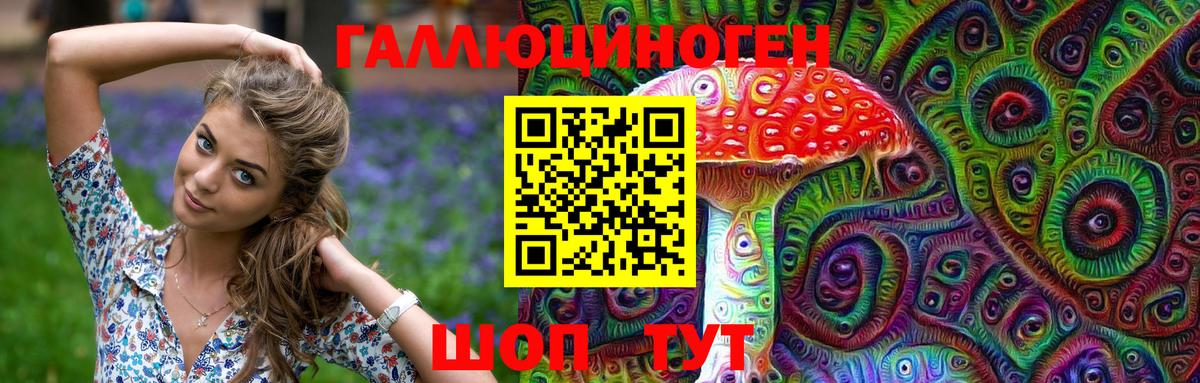 Галлюциногенные грибы MAGIC MUSHROOMS  Гусев 