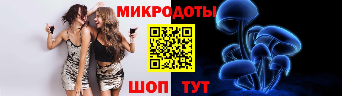 Псилоцибиновые грибы Psilocybe  Вход с VPN  Гусев 