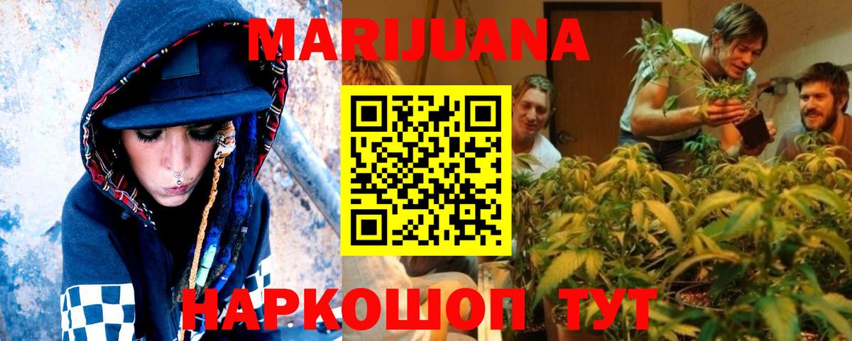 Гусев  Канабис MAZAR  Шишки марихуана конопля  Вход с VPN 